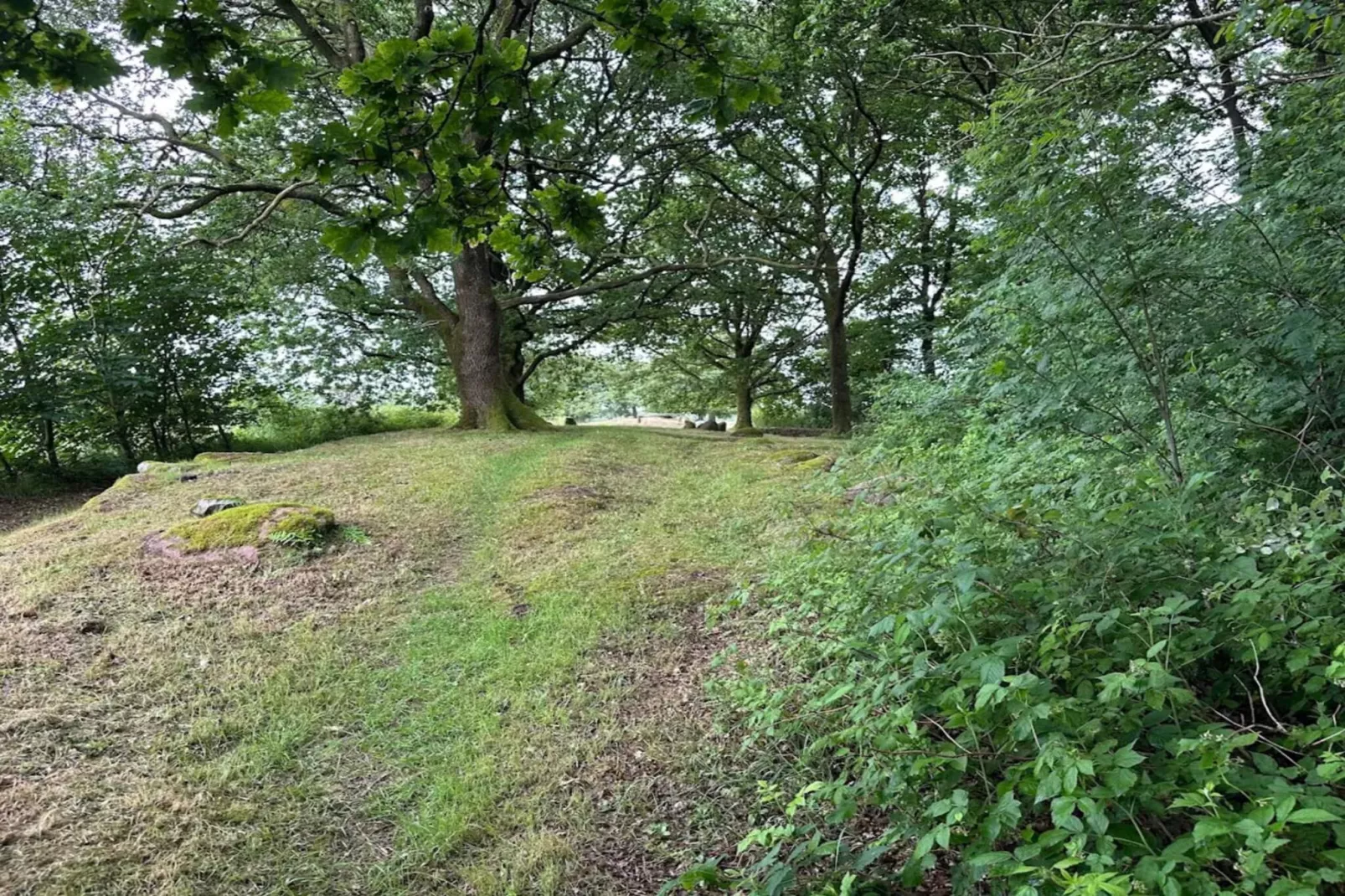 6 person holiday home in Hovborg-By Traum-Untagged