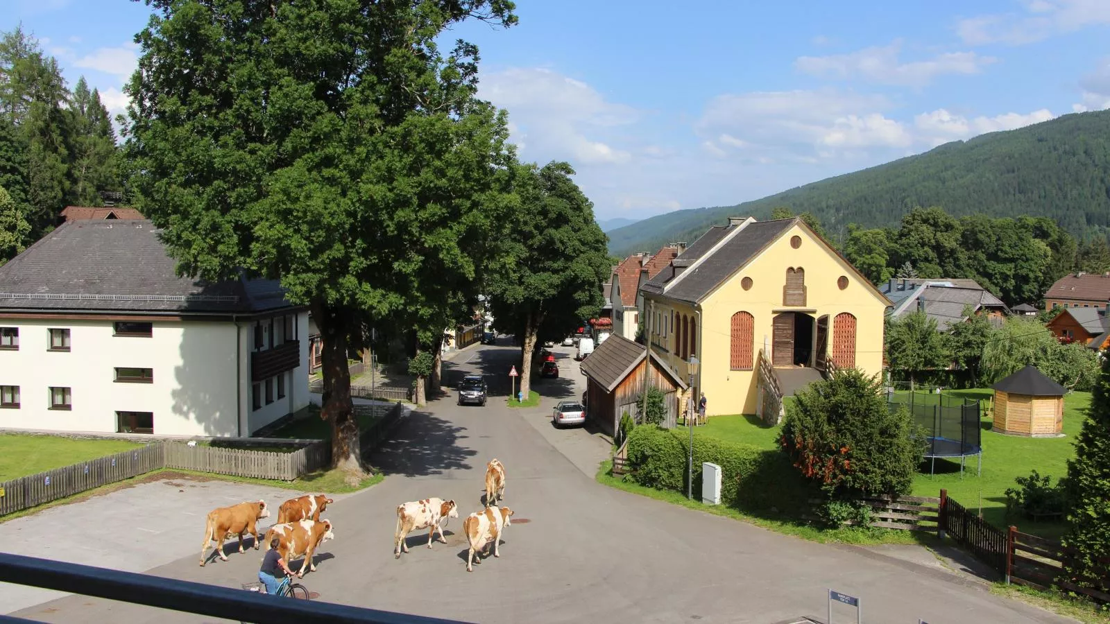 Ski Nature Apartment Lungau Top 6-Aussicht