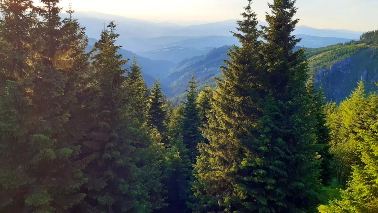 Chalet Bergoase-View in summer
