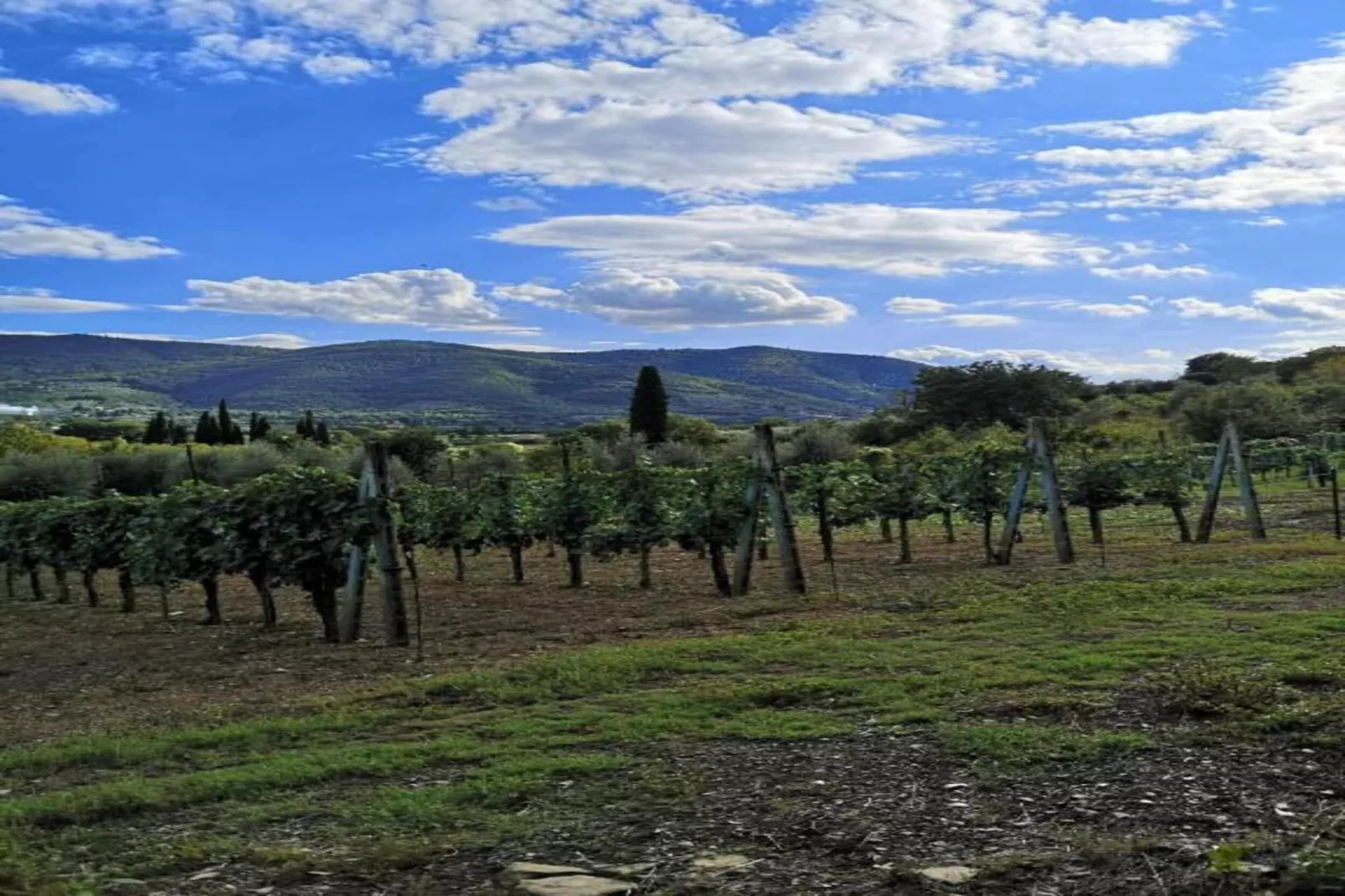 Ile-de-la-Banette-Areas within 20km in summer
