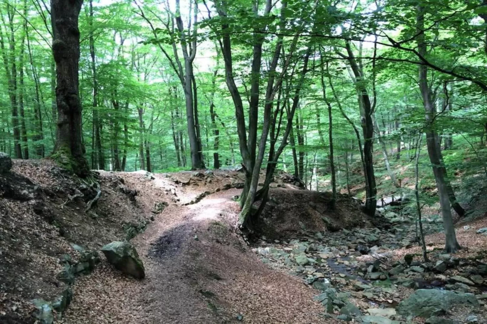 Le Vieux Chene-Gebiete Sommer 20 km