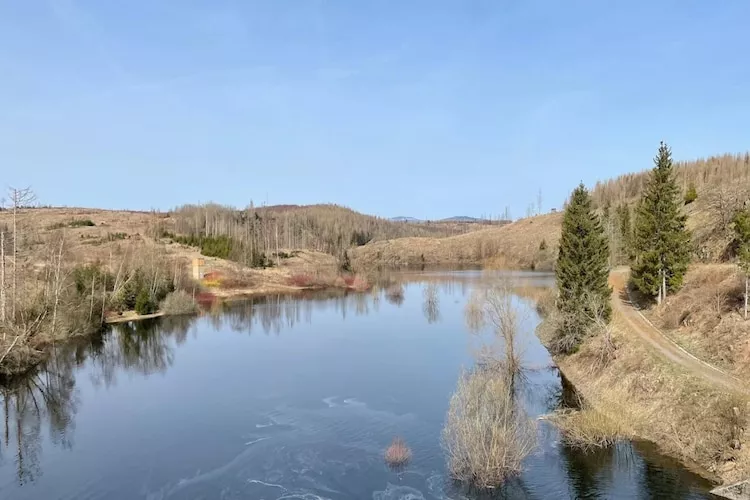 Ferienhaus in Hasselfelde - Haus 47 Blauvogel-Zones été à 20 km
