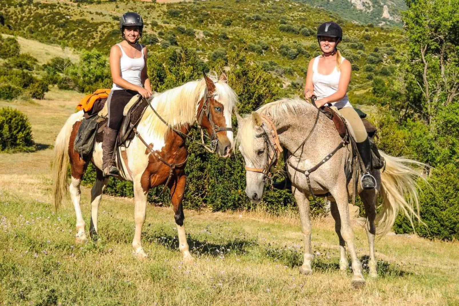 L'Espinet 2-Areas within 20km in summer