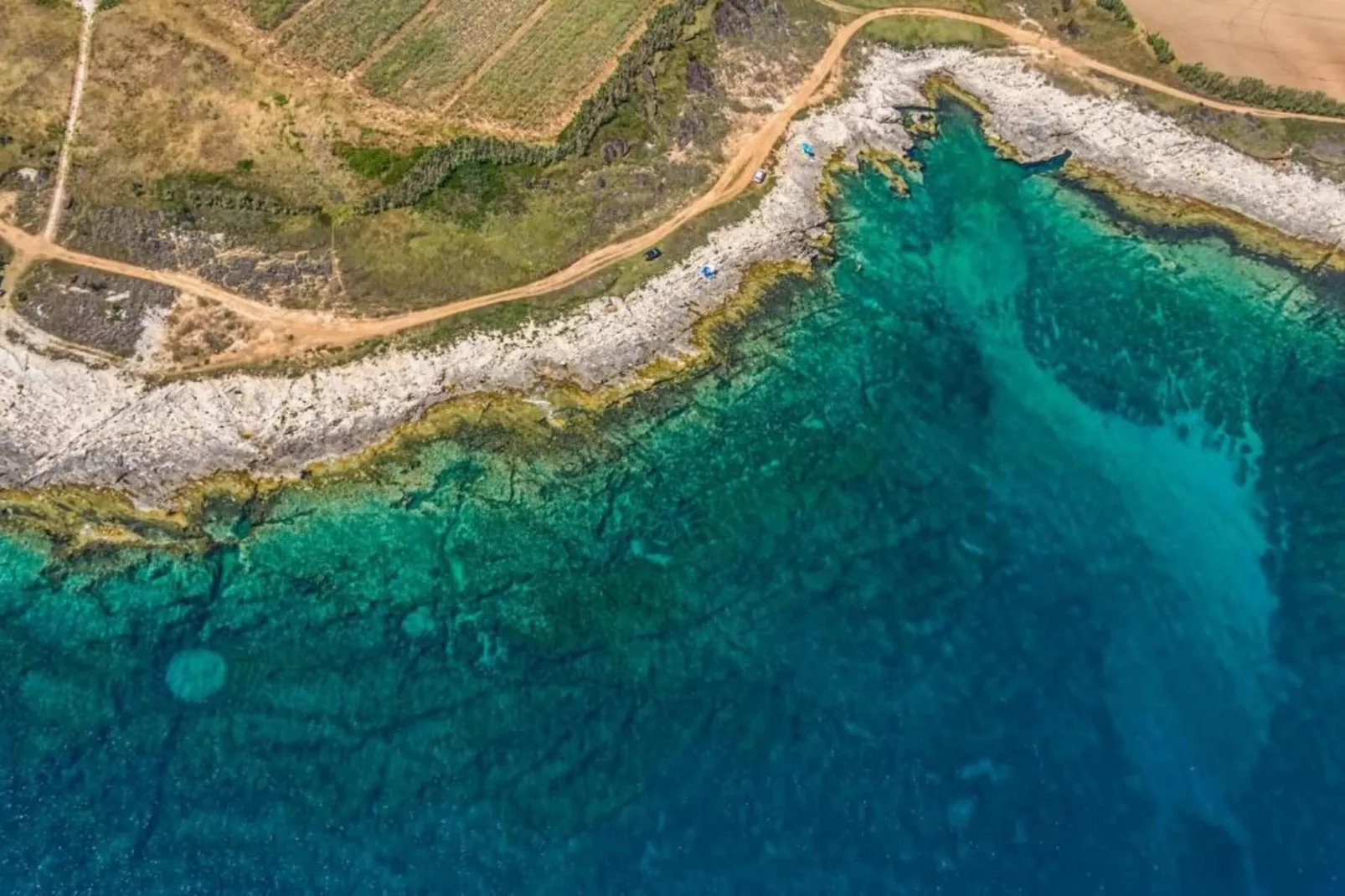 House Irena A4-Areas within 5km in summer