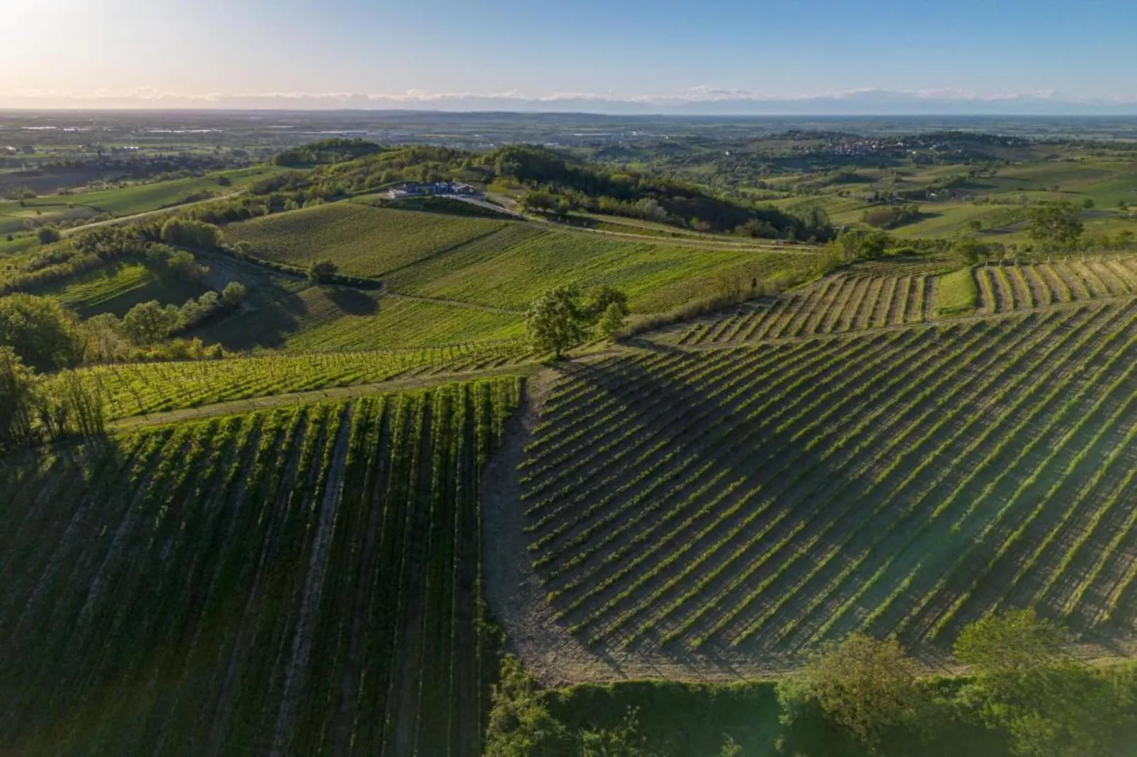 BB Montemarzino-Areas within 20km in summer