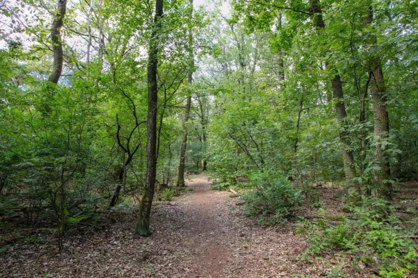 Vakantiepark Schaijk 10-Gebiete Sommer 5 km