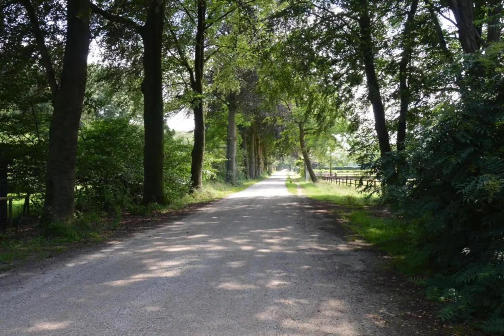 De Weelderik 3-Areas within 20km in summer