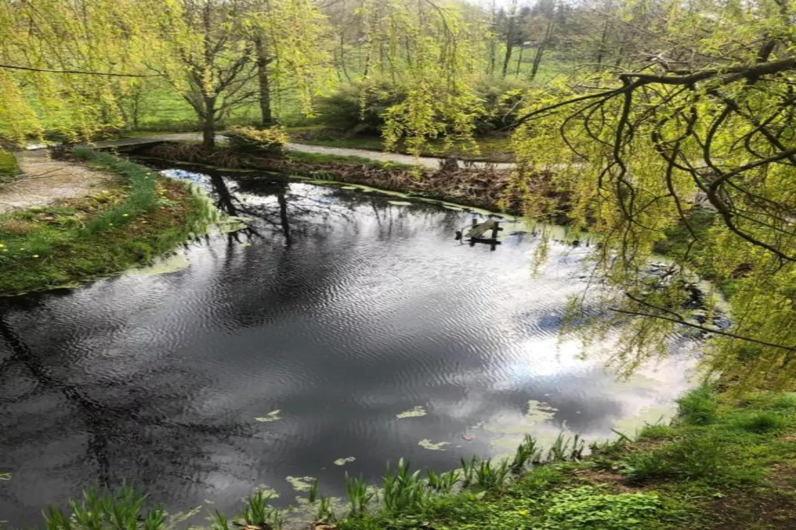 Boshuisje De Koolmees-Areas within 20km in summer