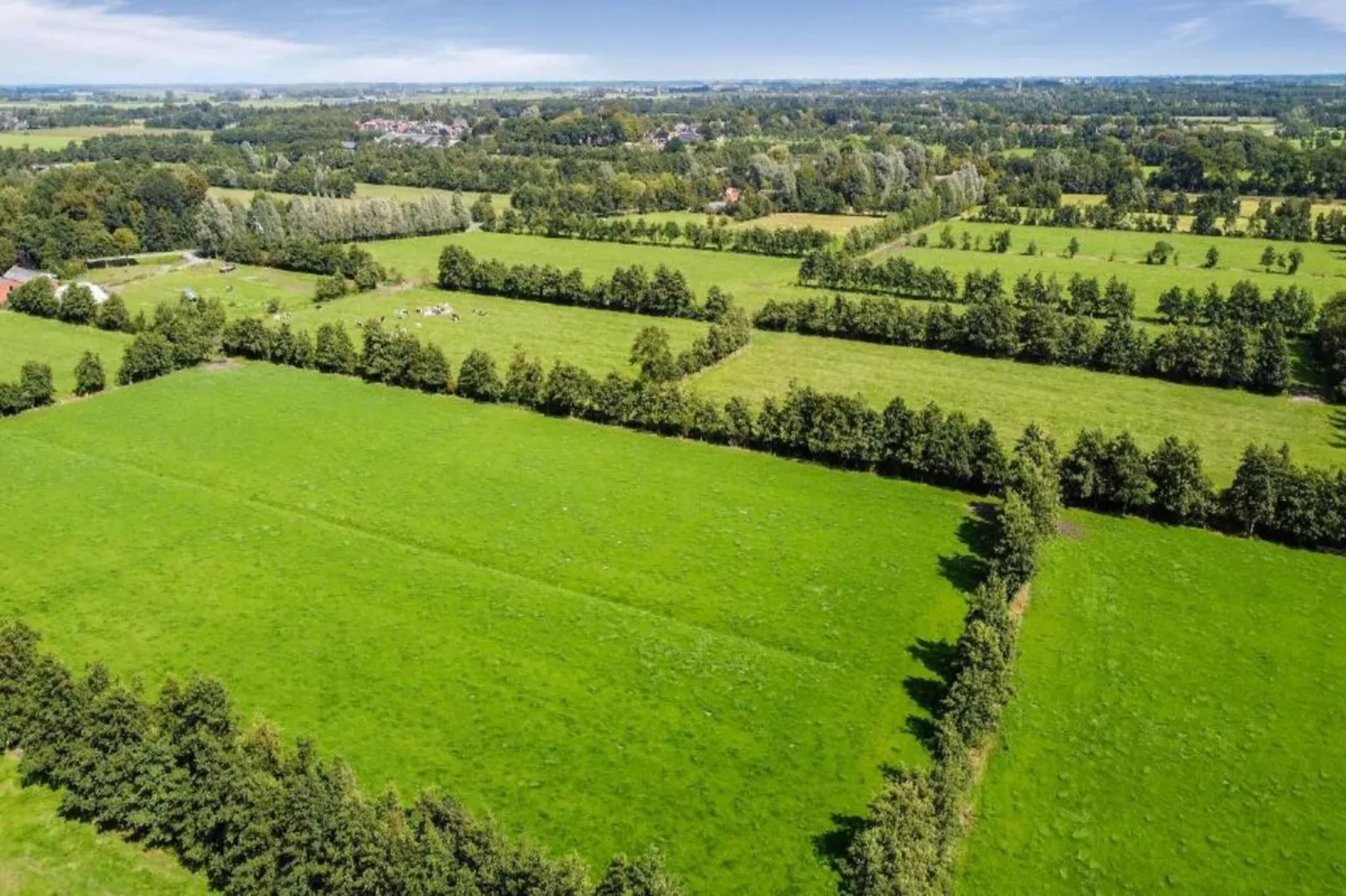 Twee safaritenten "Noflik" & "Gaadlik" naast elkaar-Areas within 5km in summer