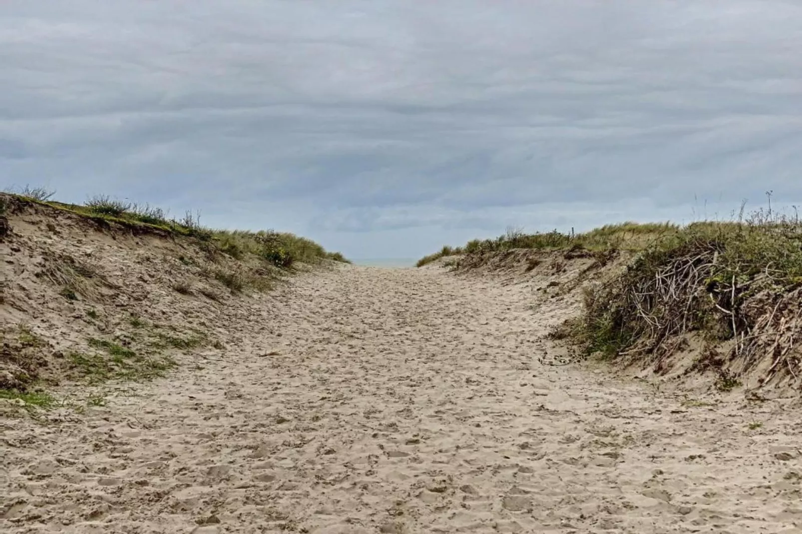 PANORAMA C2 D505-Gebiete Sommer 20 km