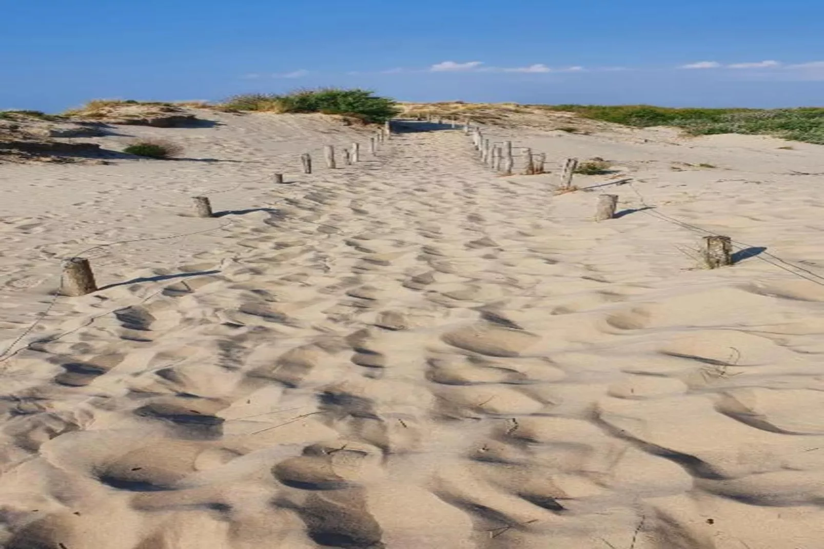 DUINENVELD 4B 166/0503GAR-Areas within 20km in summer