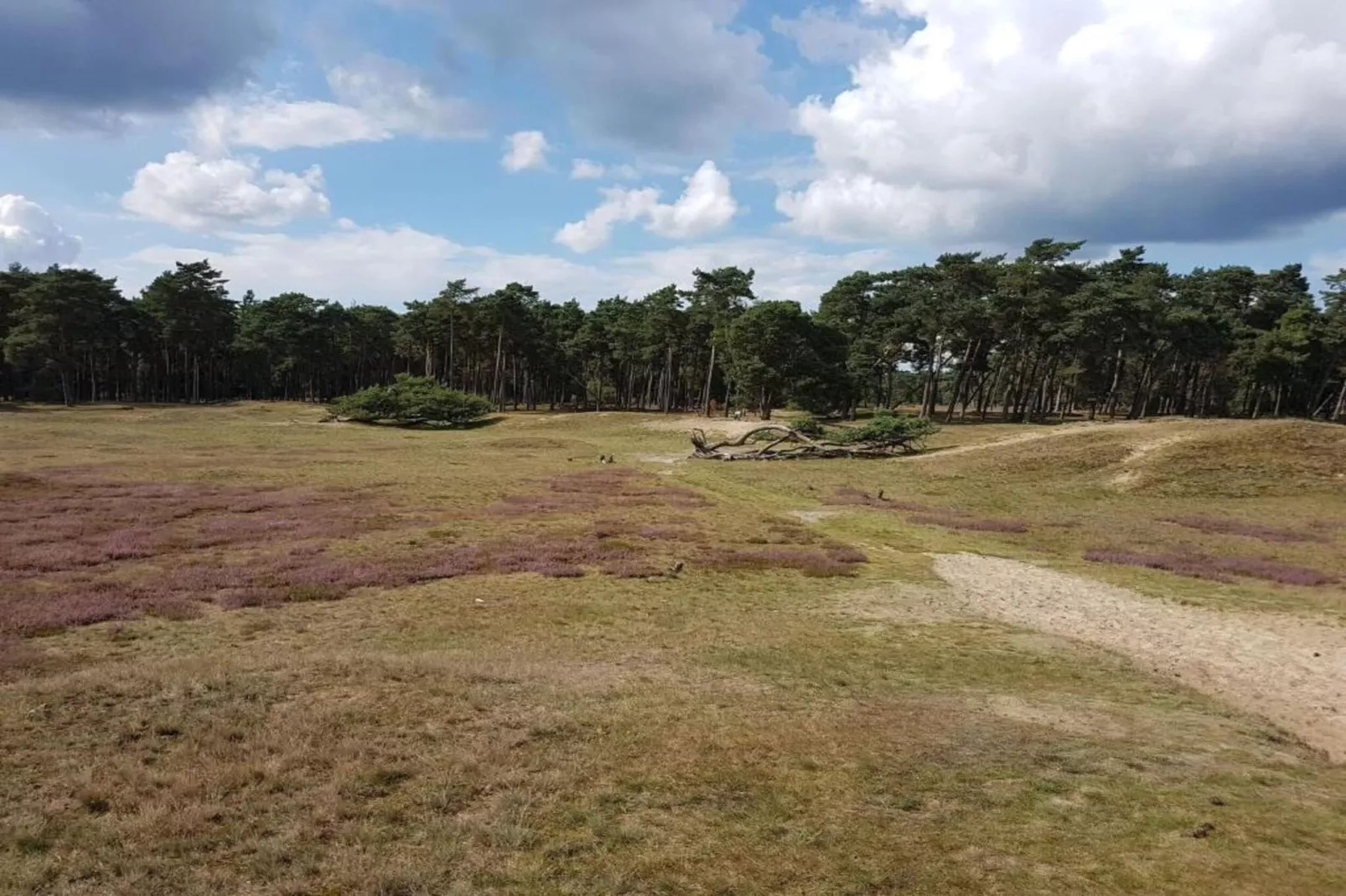 Vakantiepark Hellendoorn 6-Gebiete Sommer 5 km