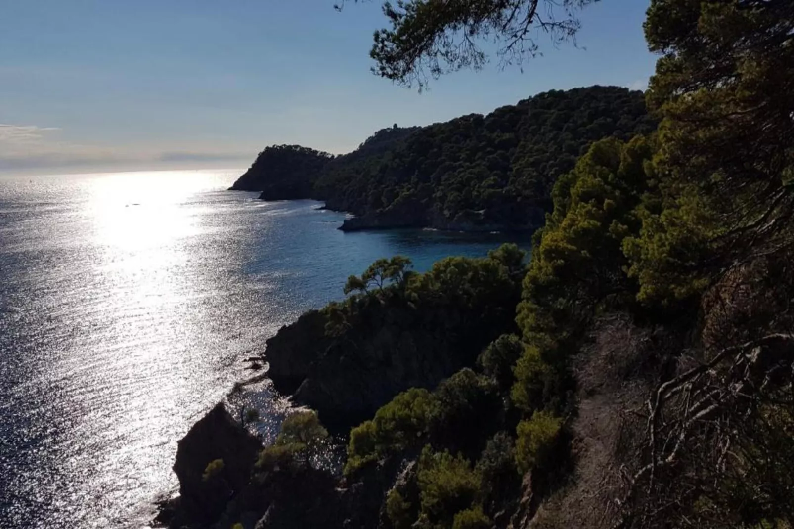 Le Riviera 4-Areas within 5km in summer