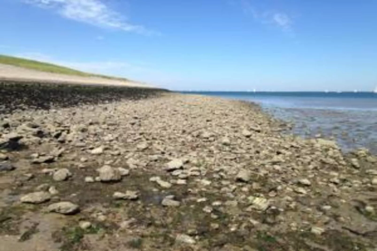 Cosy Oosterschelde-Gebiete Sommer 20 km
