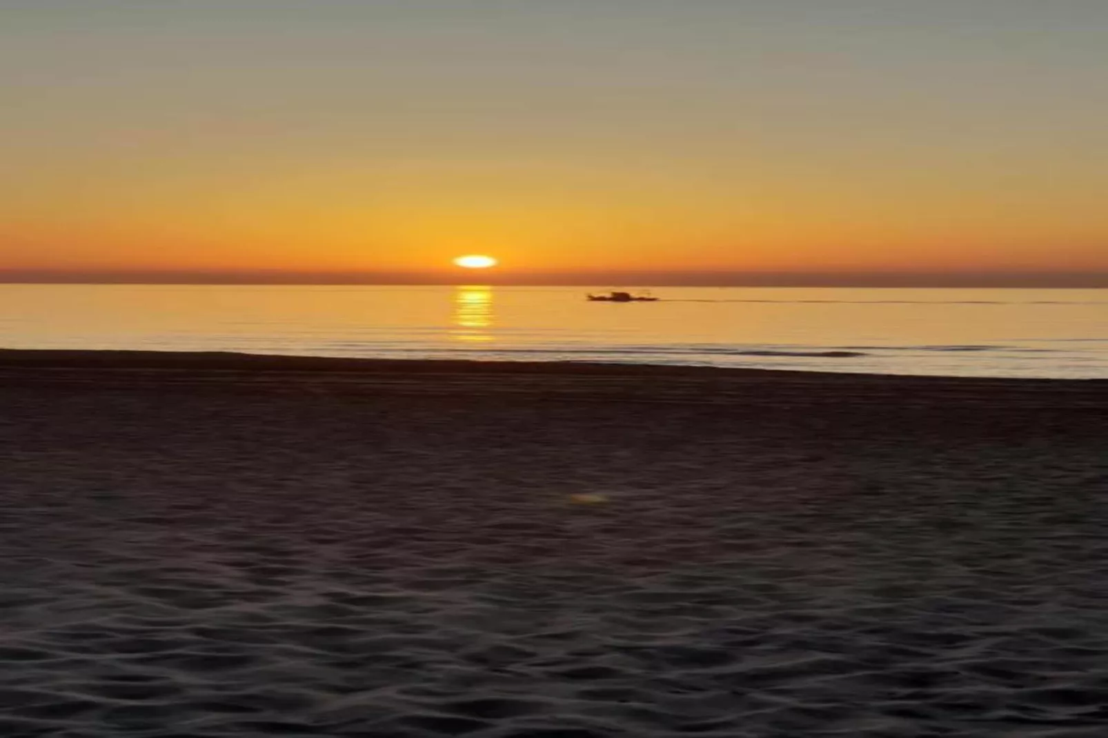 Bella Vista-Areas within 1km in summer