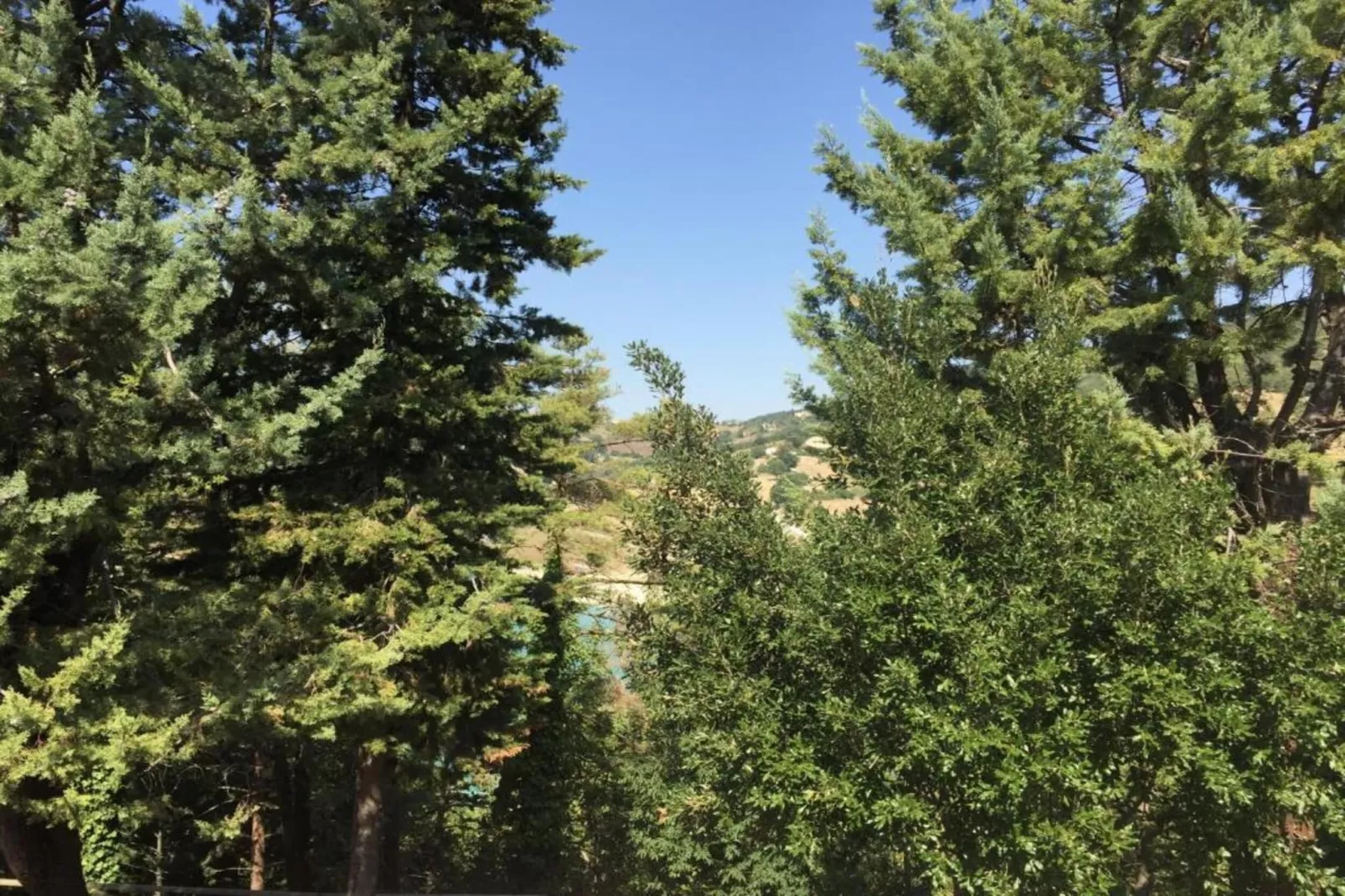 Binnella 18-Areas within 20km in summer