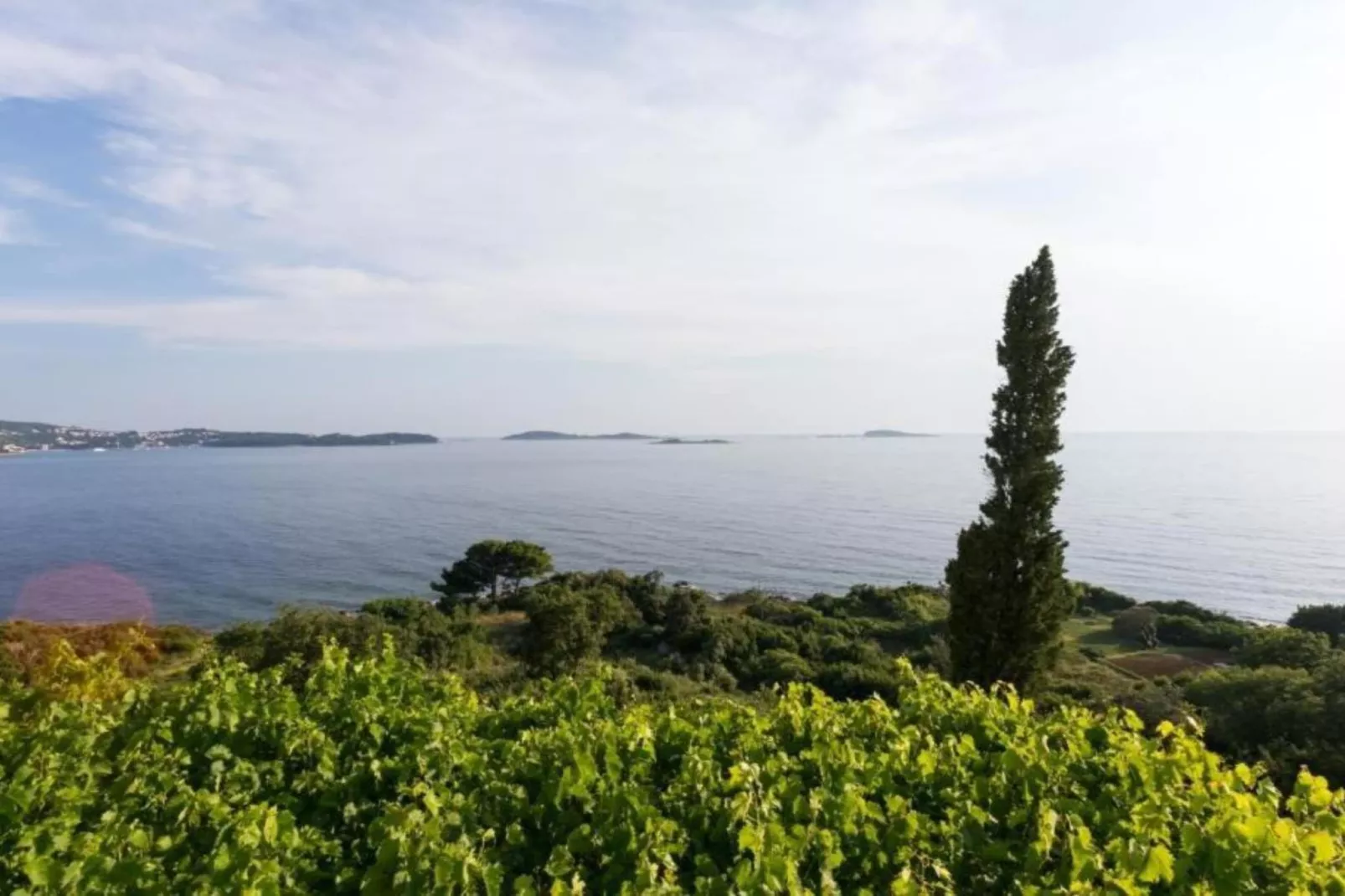 Villa Samba - Studio Apartment with Balcony and Sea View-Ambiente