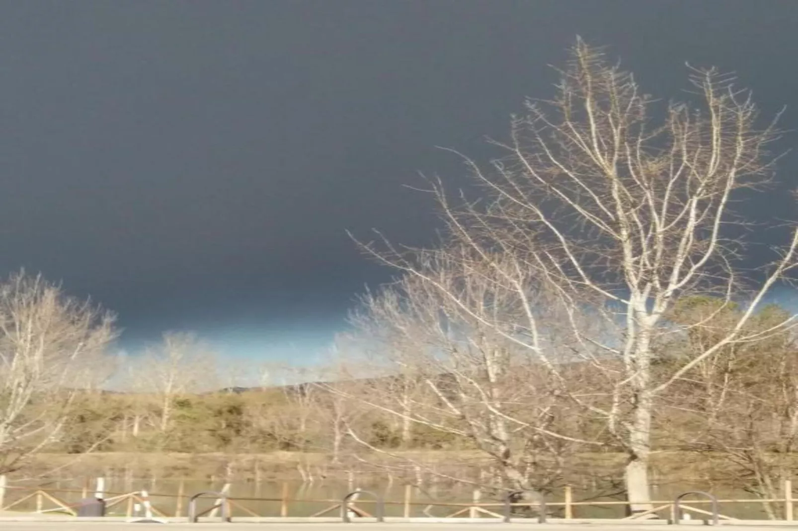 Acacia-Area within 20km in winter