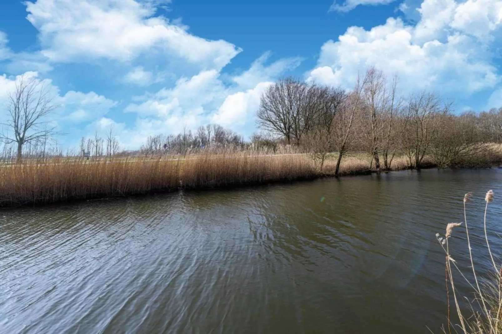 Standaard 336-Areas within 20km in summer