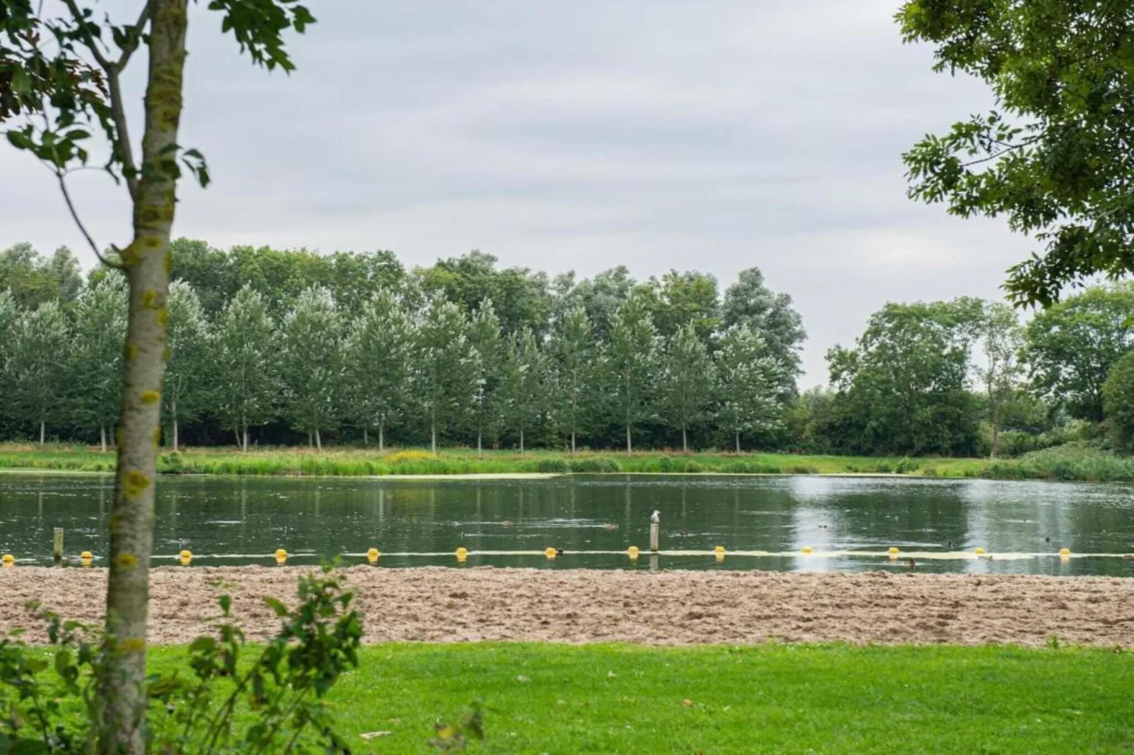Standaard 323-Areas within 20km in summer