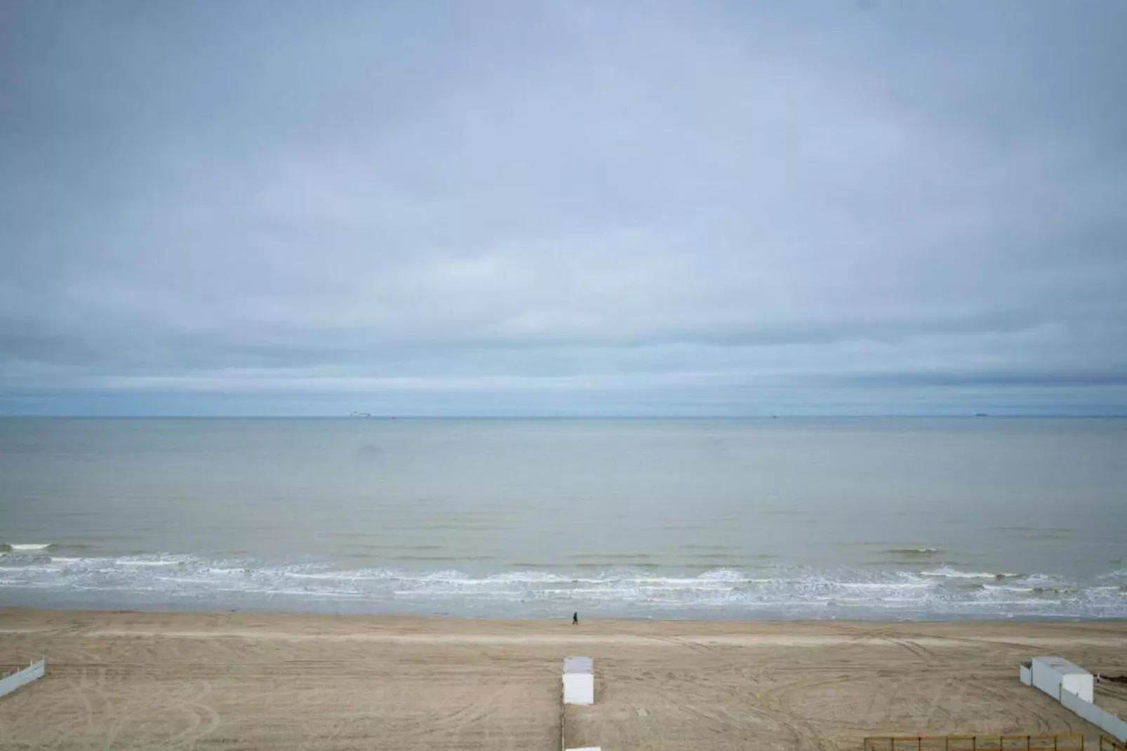 SEASIGHT - 31-Gebiete Sommer 1 km