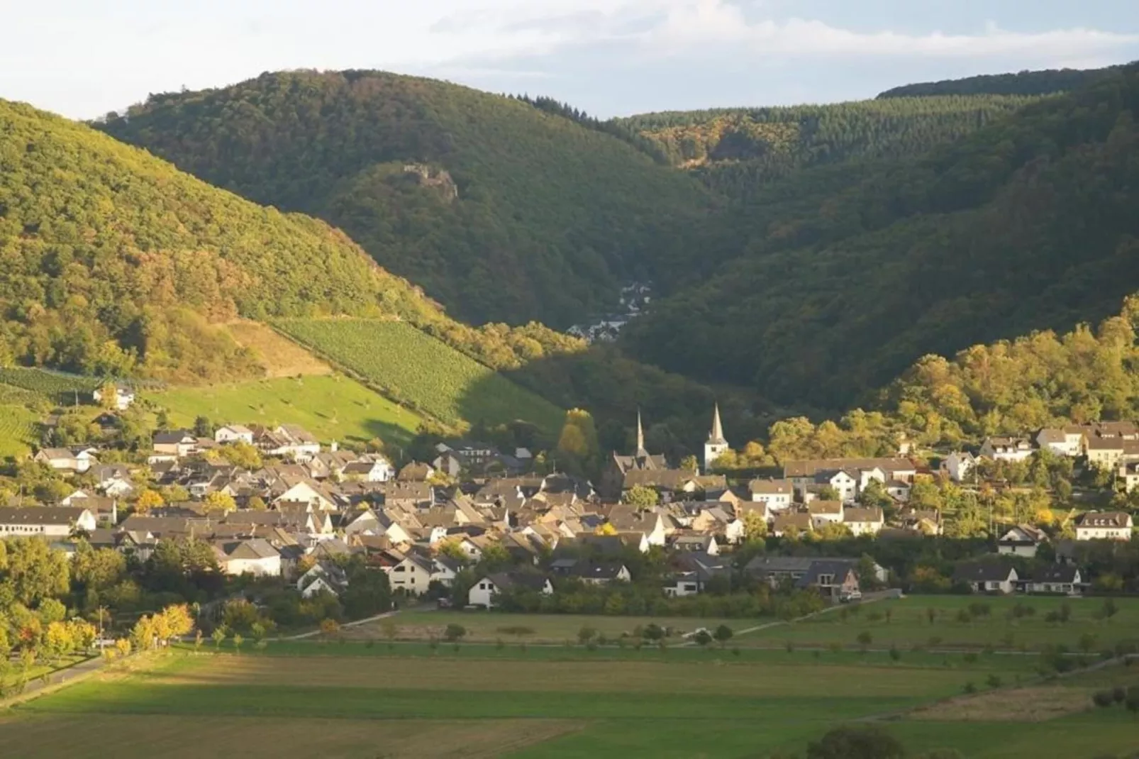 Ferienhaus der Saison an der Mosel-Gebiete Sommer 20 km