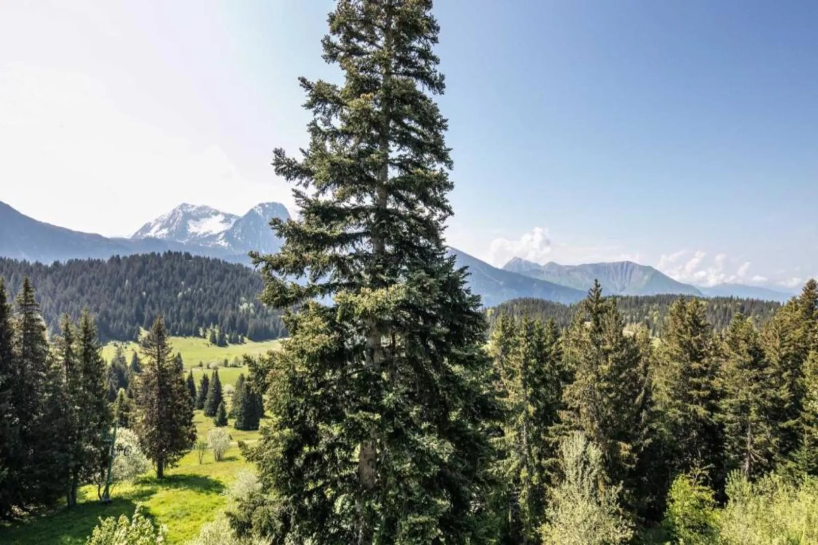 V du Bachat EPICEA C N°02 - 2P5-Areas within 5km in summer