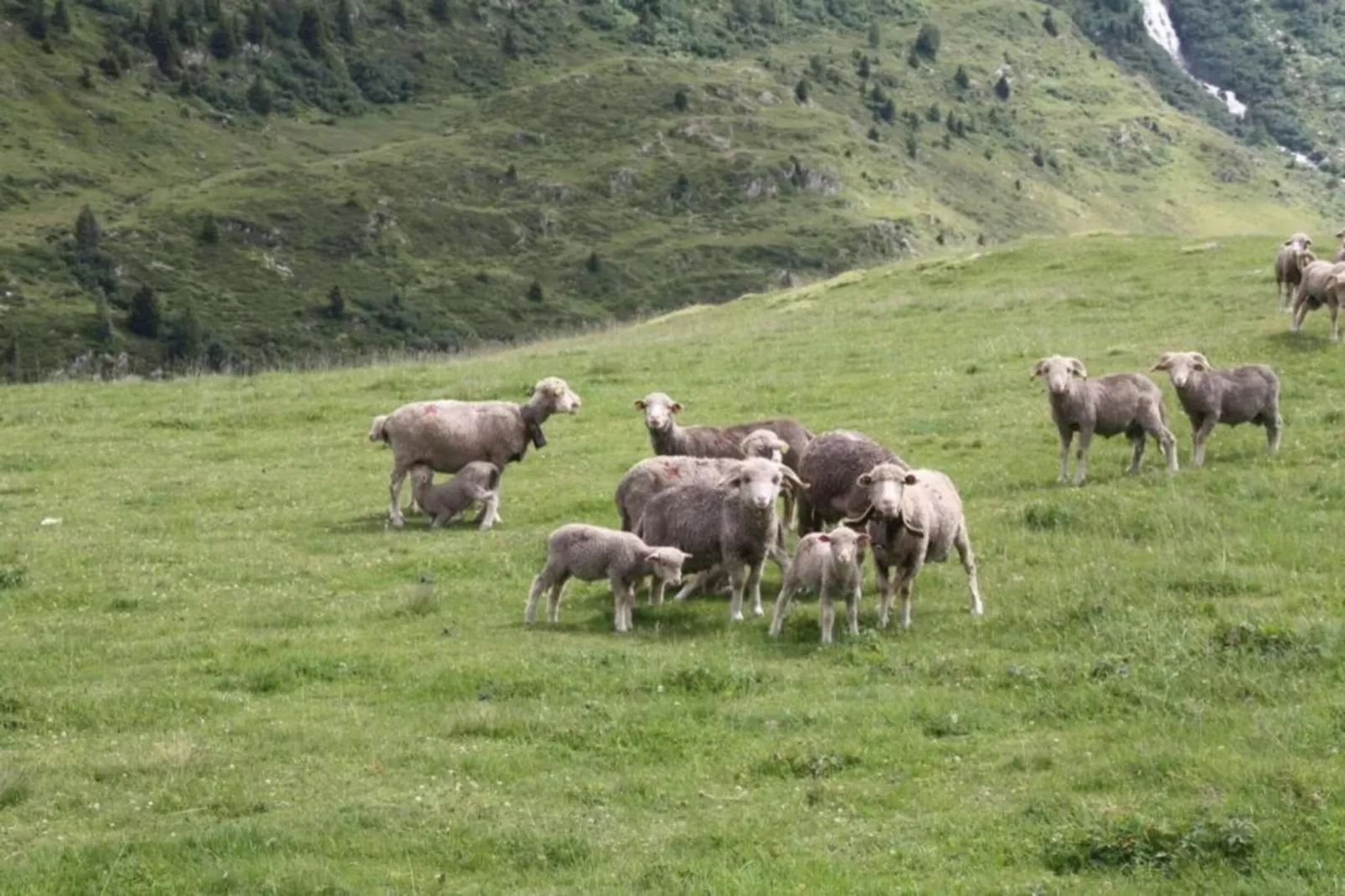 Les Marmottes N°42 - 3P6-Areas within 20km in summer