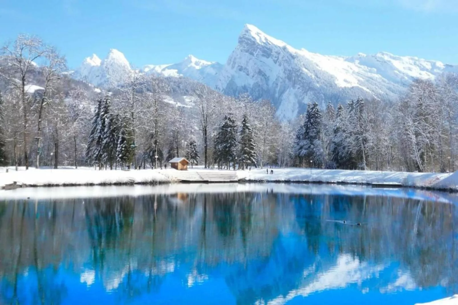 OURSONS 4 N°30 - 2P6-Area within 20km in winter