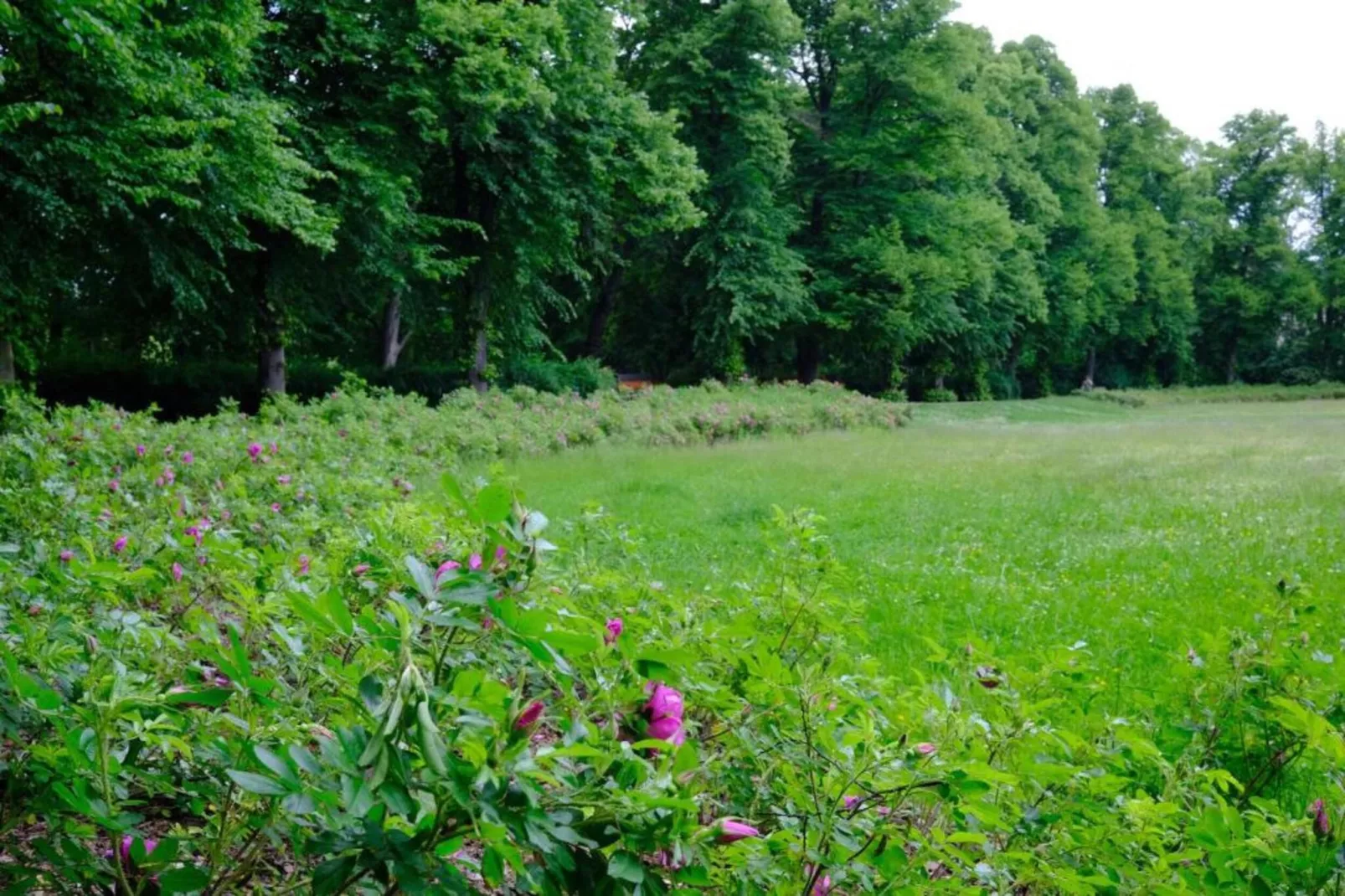 Little Hanoi-Areas within 20km in summer