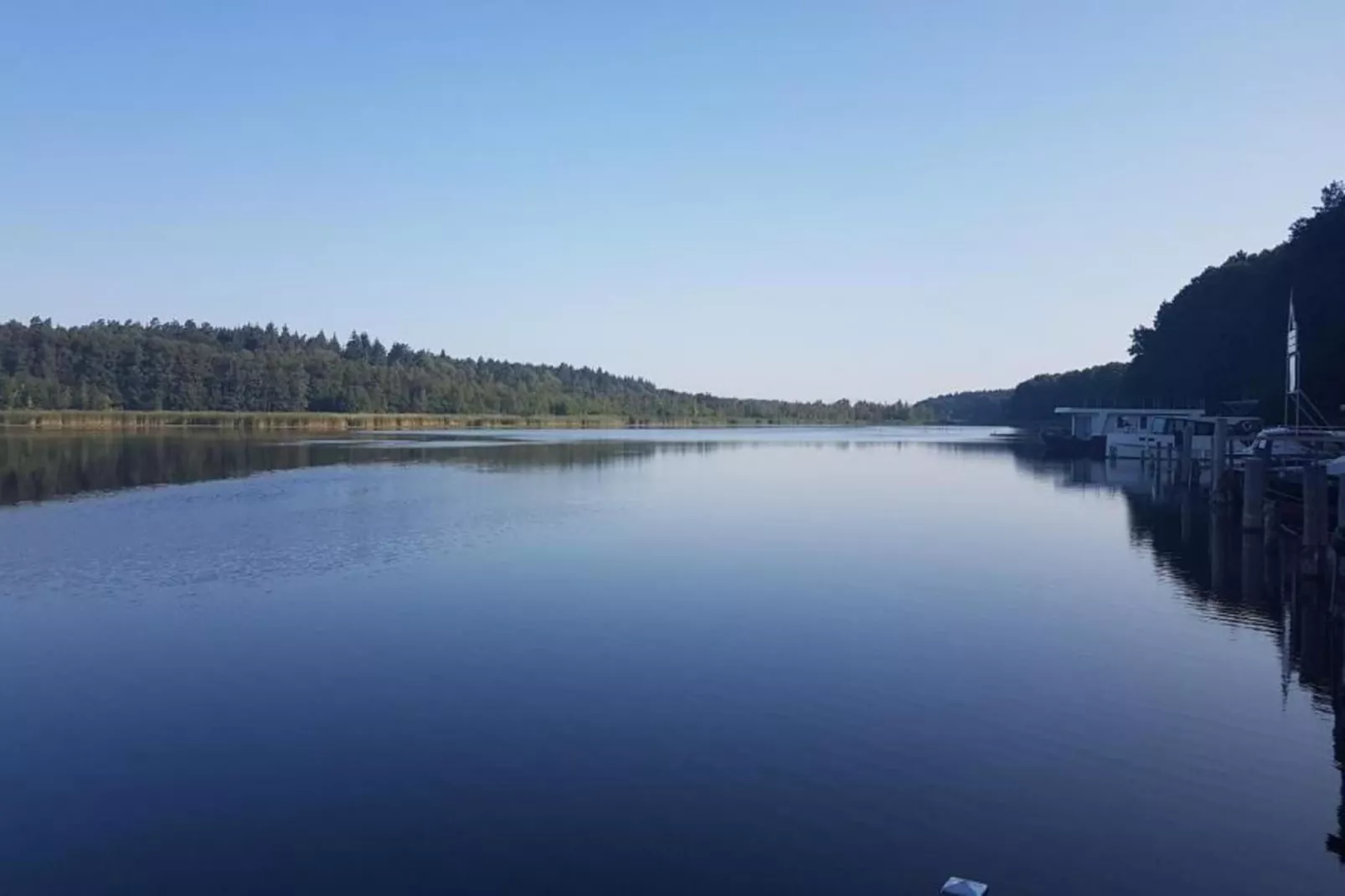 FH Seeschwalbe 221-Areas within 1km in summer