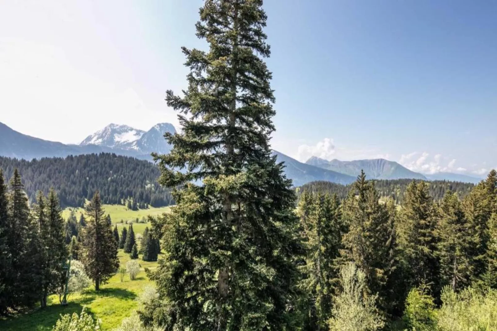 Le Vernon N 406 - 2P5-Areas within 5km in summer