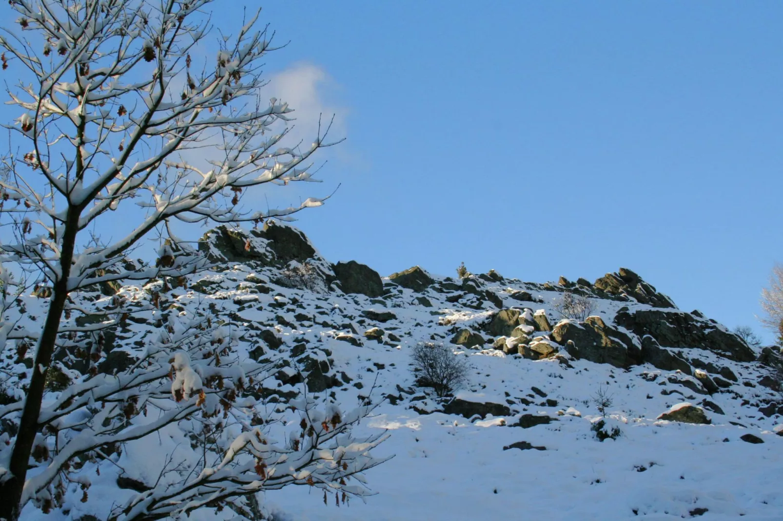 Zum wilden Jakob-Zones hiver à 20 km
