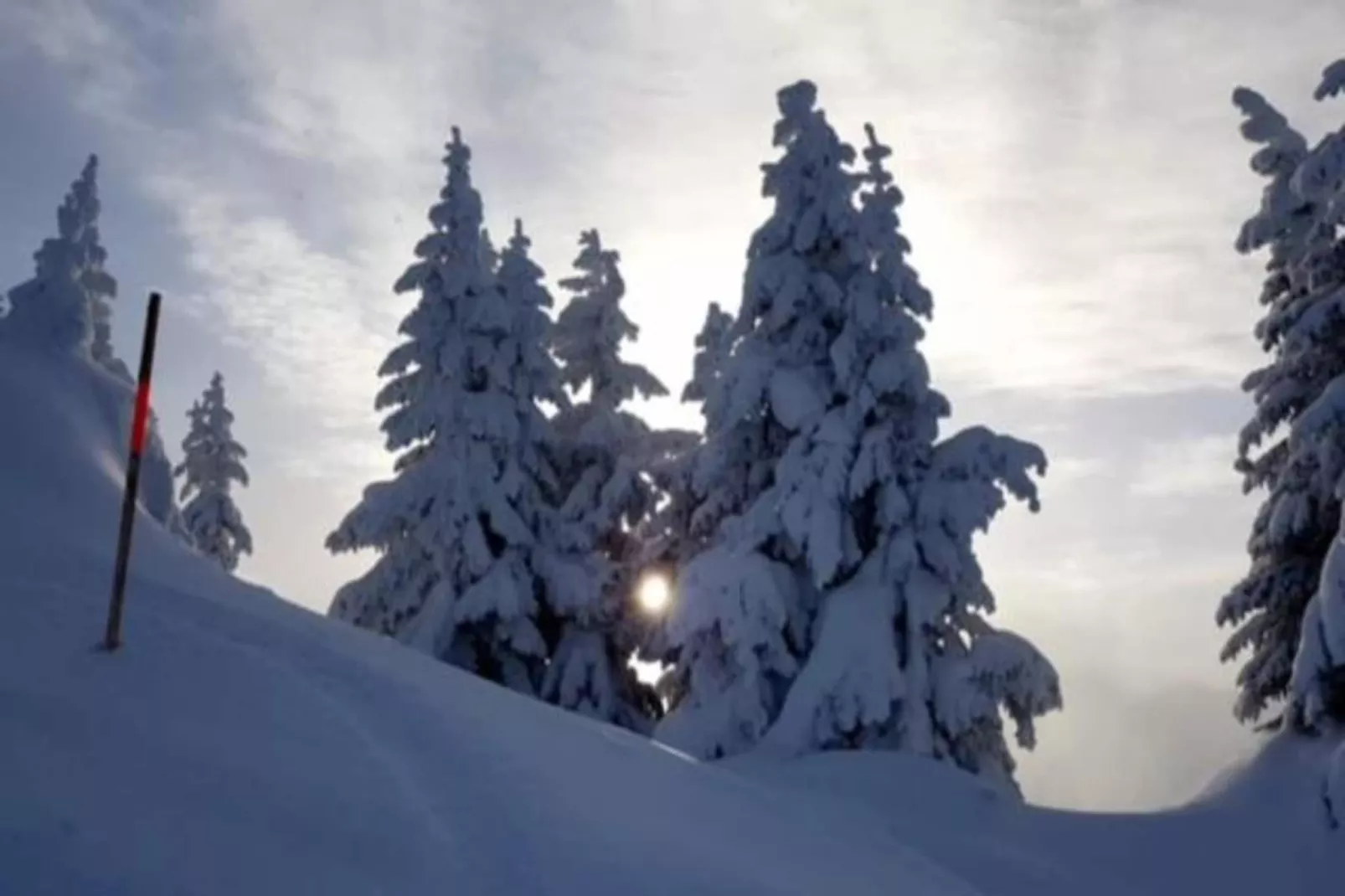 Ferienhaus Büsch-Area within 20km in winter