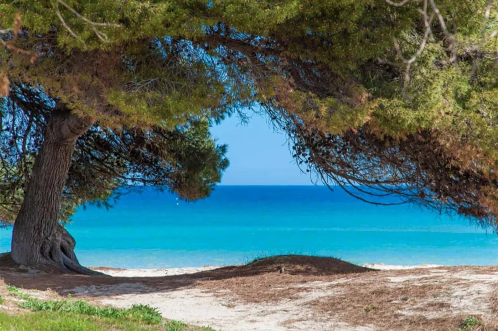 Maritimo-Zones été à 1 km