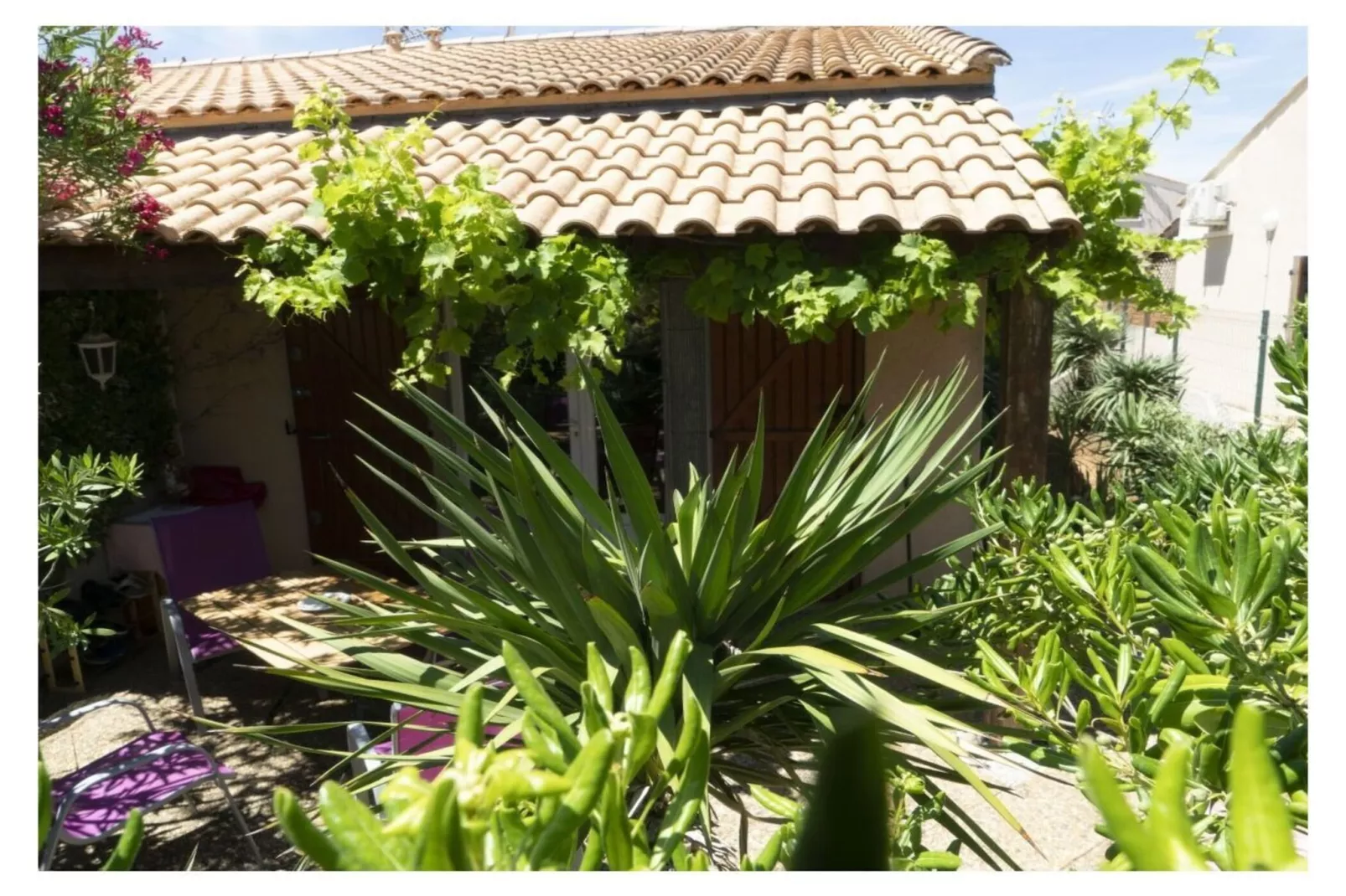 270898-Gardens in summer