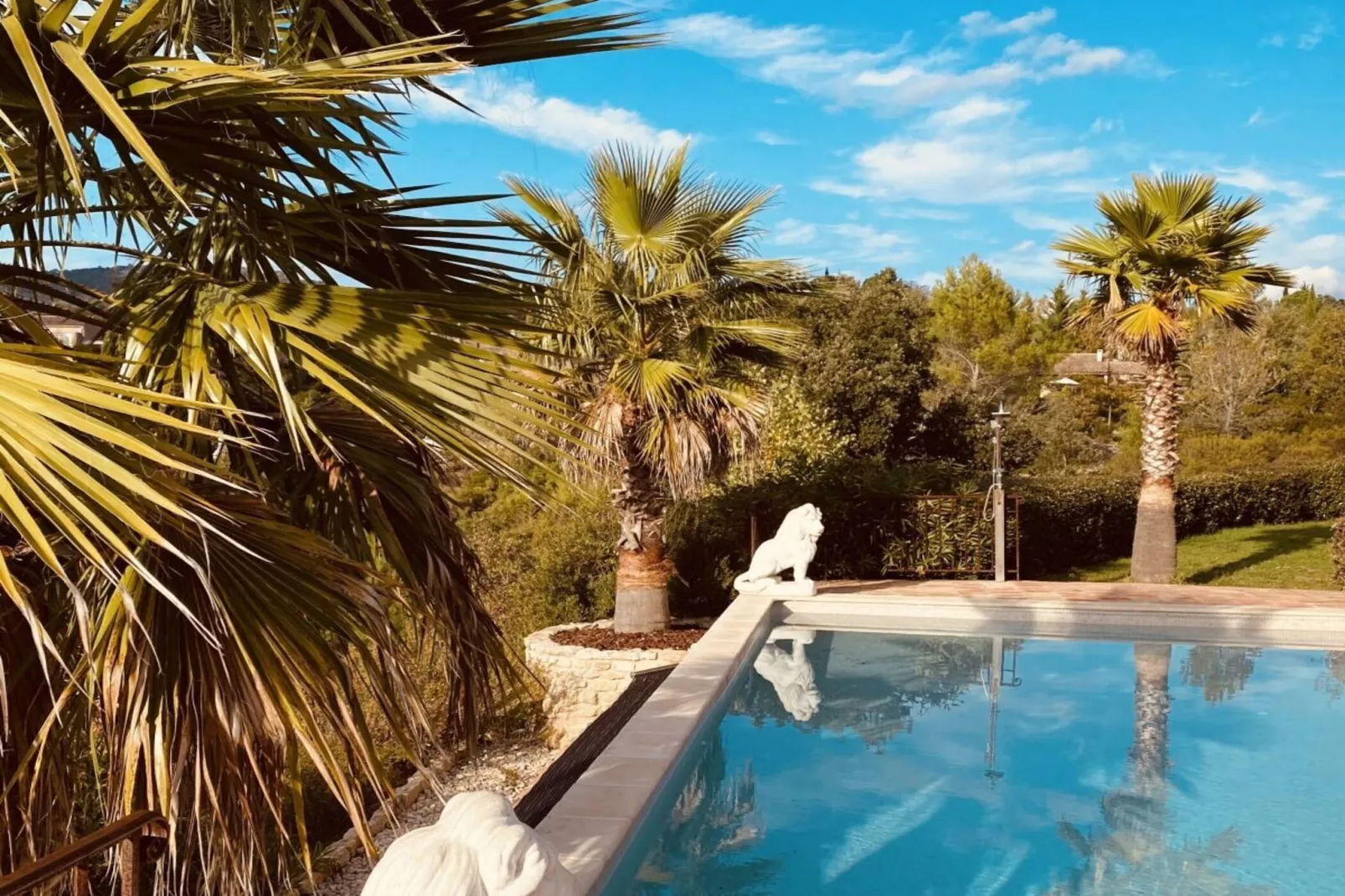 58265-Piscine