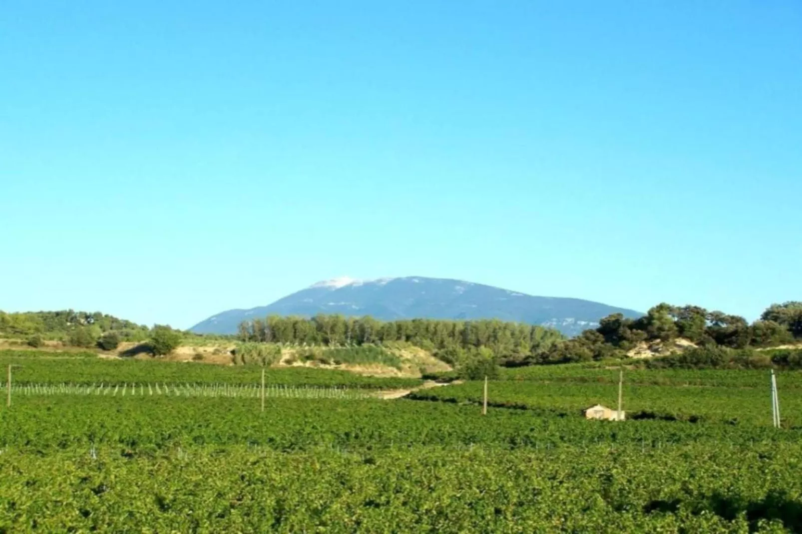 Alana-Gebiete Sommer 20 km