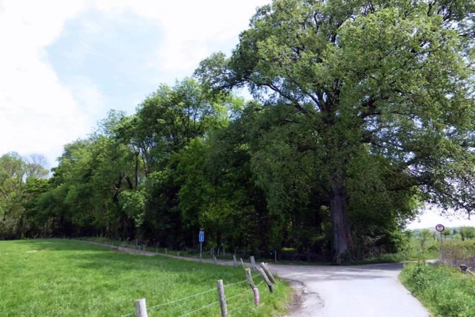 Ravenbosch - Sauna-Areas within 20km in summer
