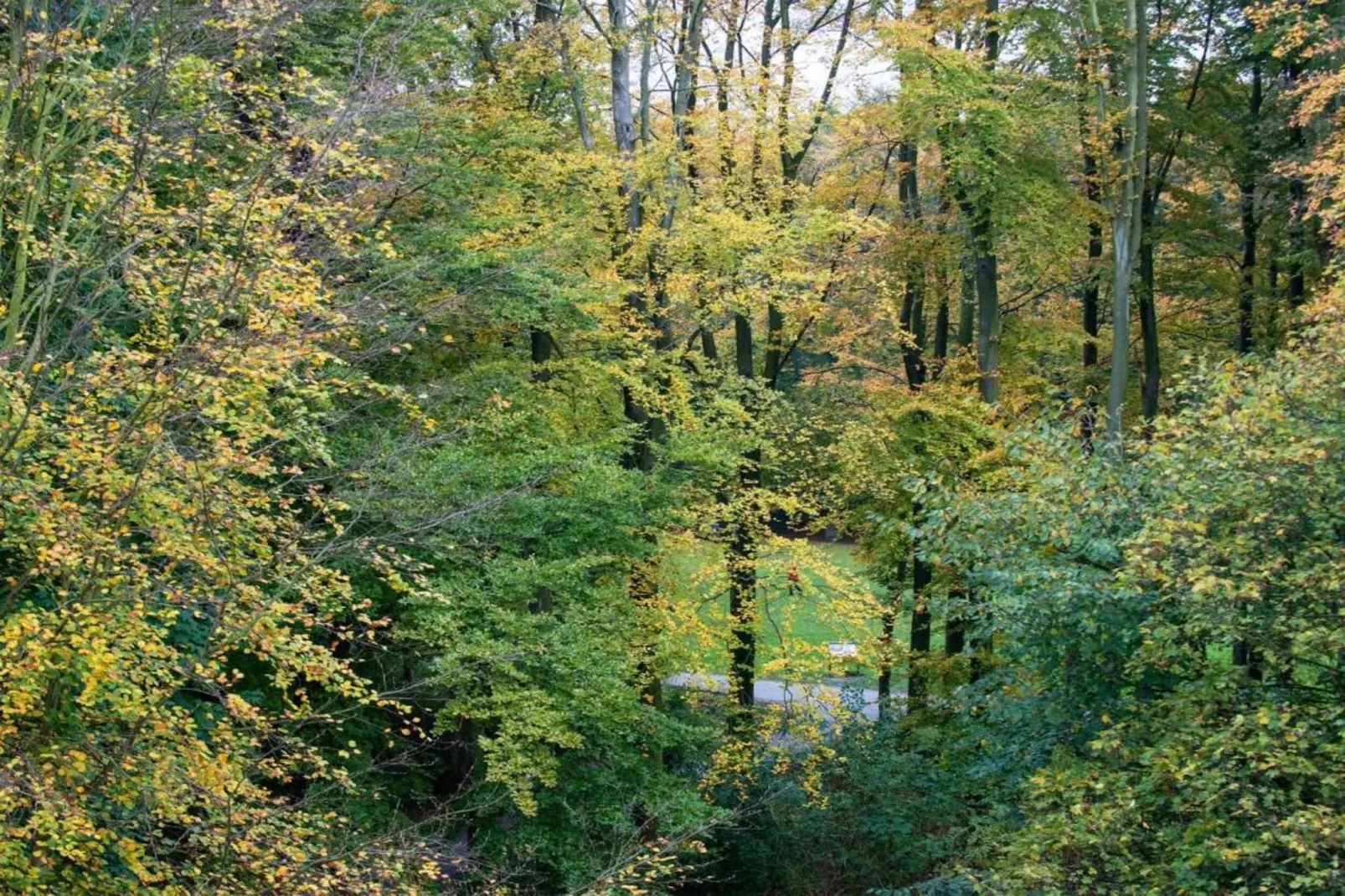 Maurits 2-Areas within 20km in summer