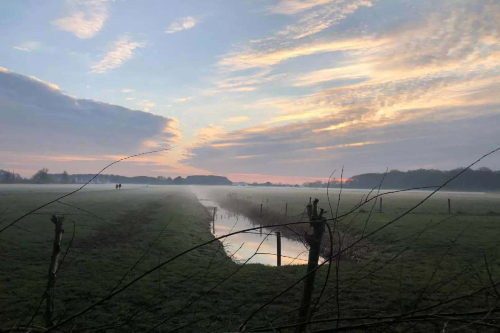 Delft 4A-Areas within 20km in summer