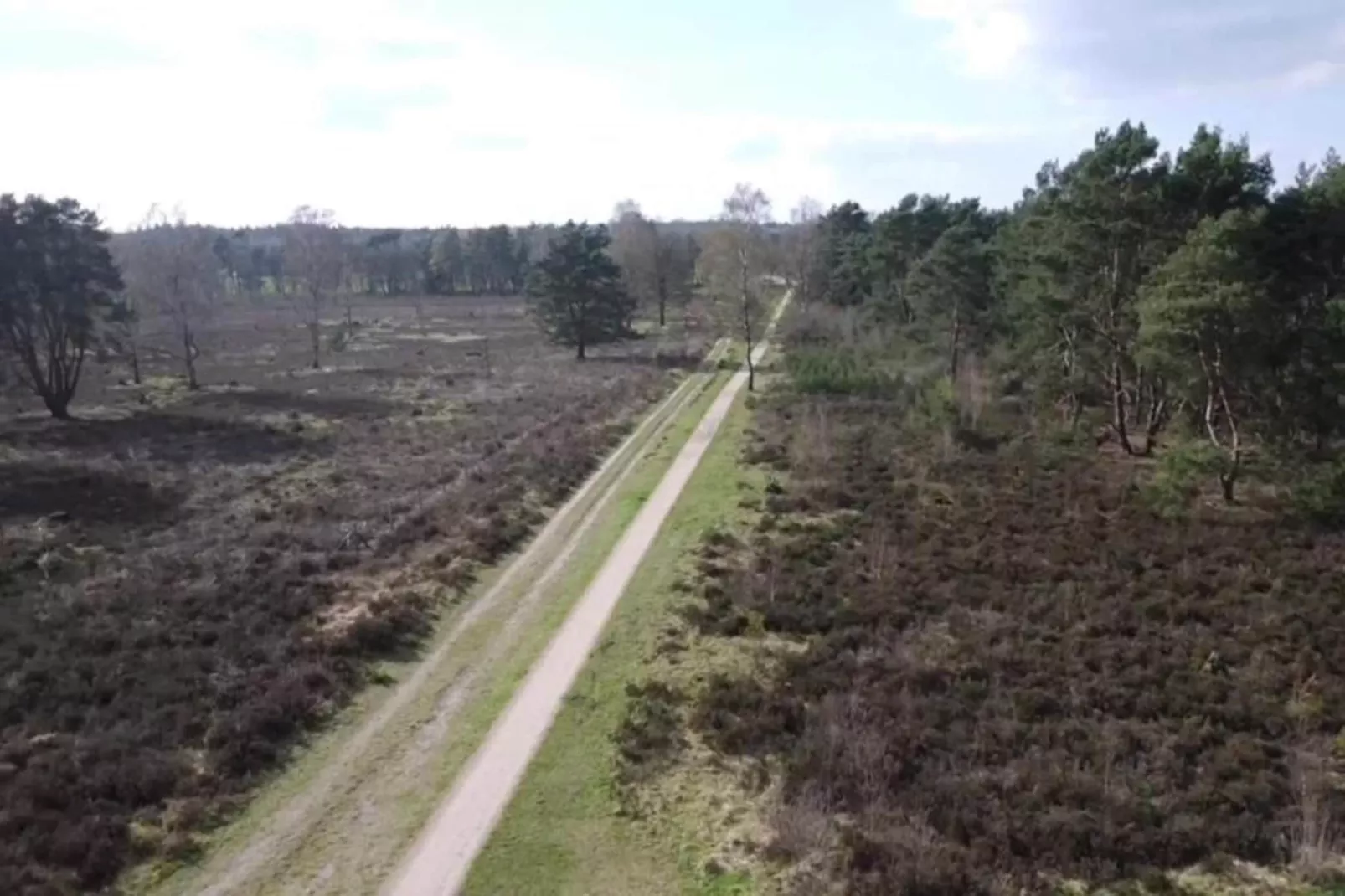 Heivlinder Comfort 4+2p-Areas within 5km in summer