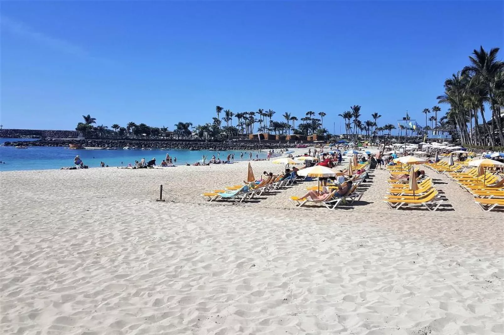 Mogan Montana-Areas within 20km in summer