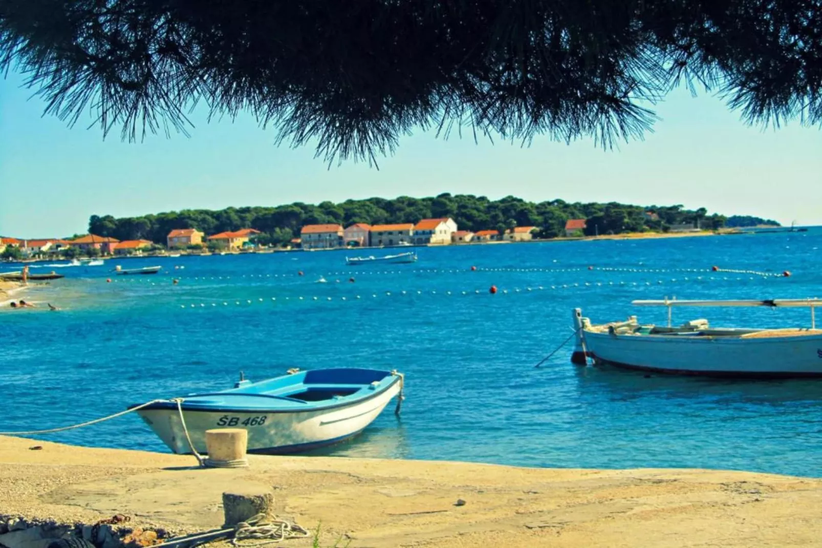Apartments Gaj Brodarica - A8-Areas within 1km in summer