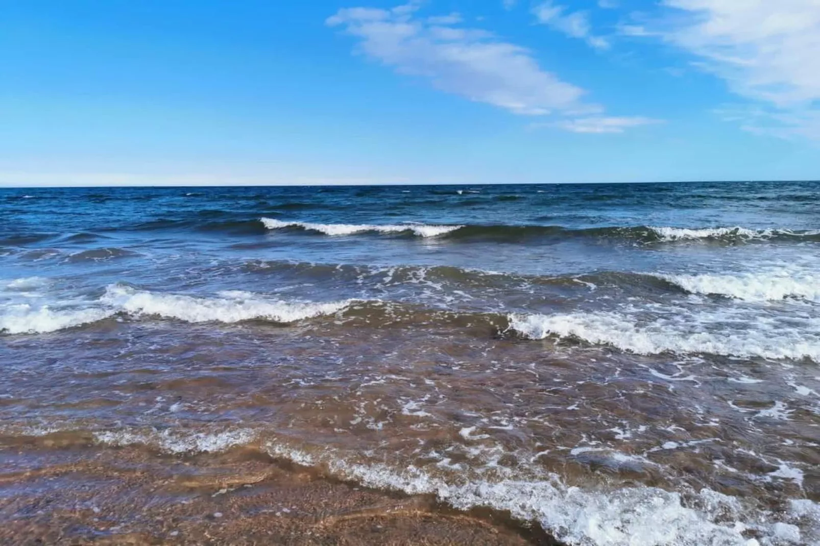 Little Dunley - Hazel-Gebiete Sommer 20 km