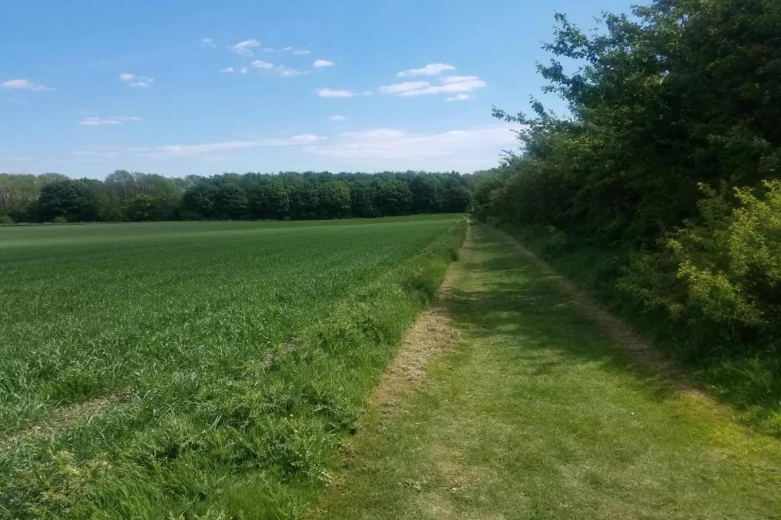 Longwool View-Gebiete Sommer 20 km