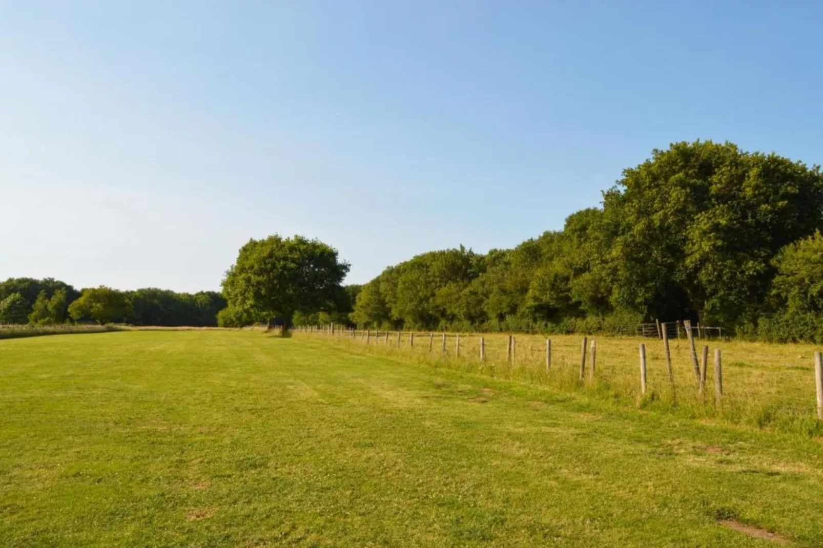 The Chicken Hut-Gebiete Sommer 20 km
