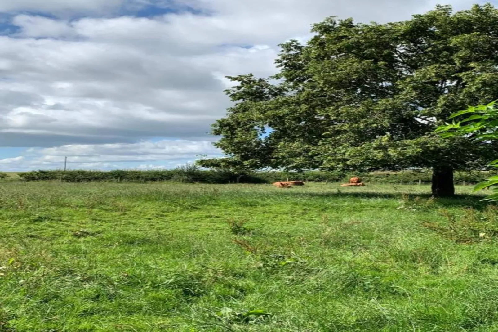 Worm Dale-Gebiete Sommer 5 km