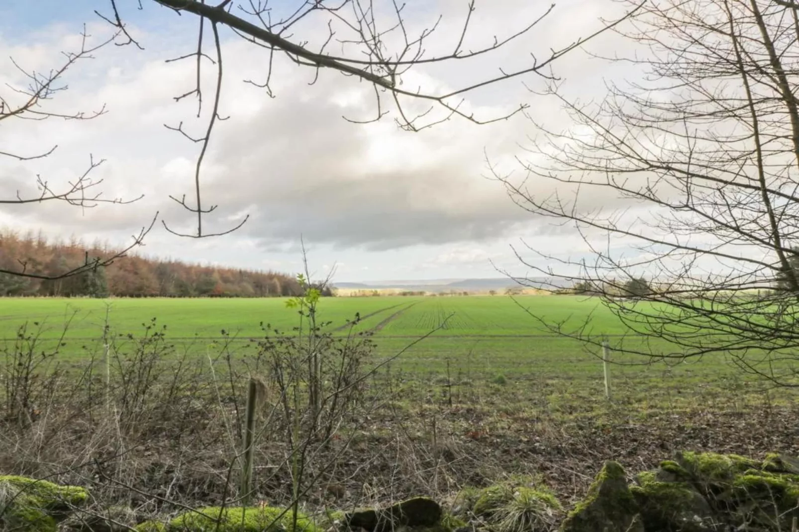 Kilburn Hall Apt-Zones été à 5 km