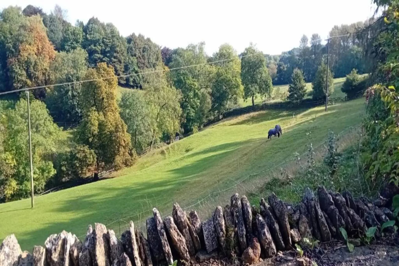 The Campion-Areas within 20km in summer